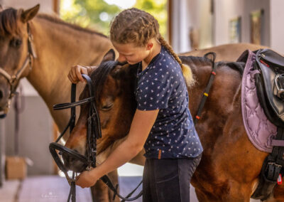 Reitstall für Kinder